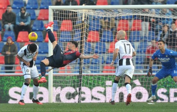اورسوليني خلا مباراة بولونيا ضد اودينيزي - Orsolini with Bologna vs Udinese
